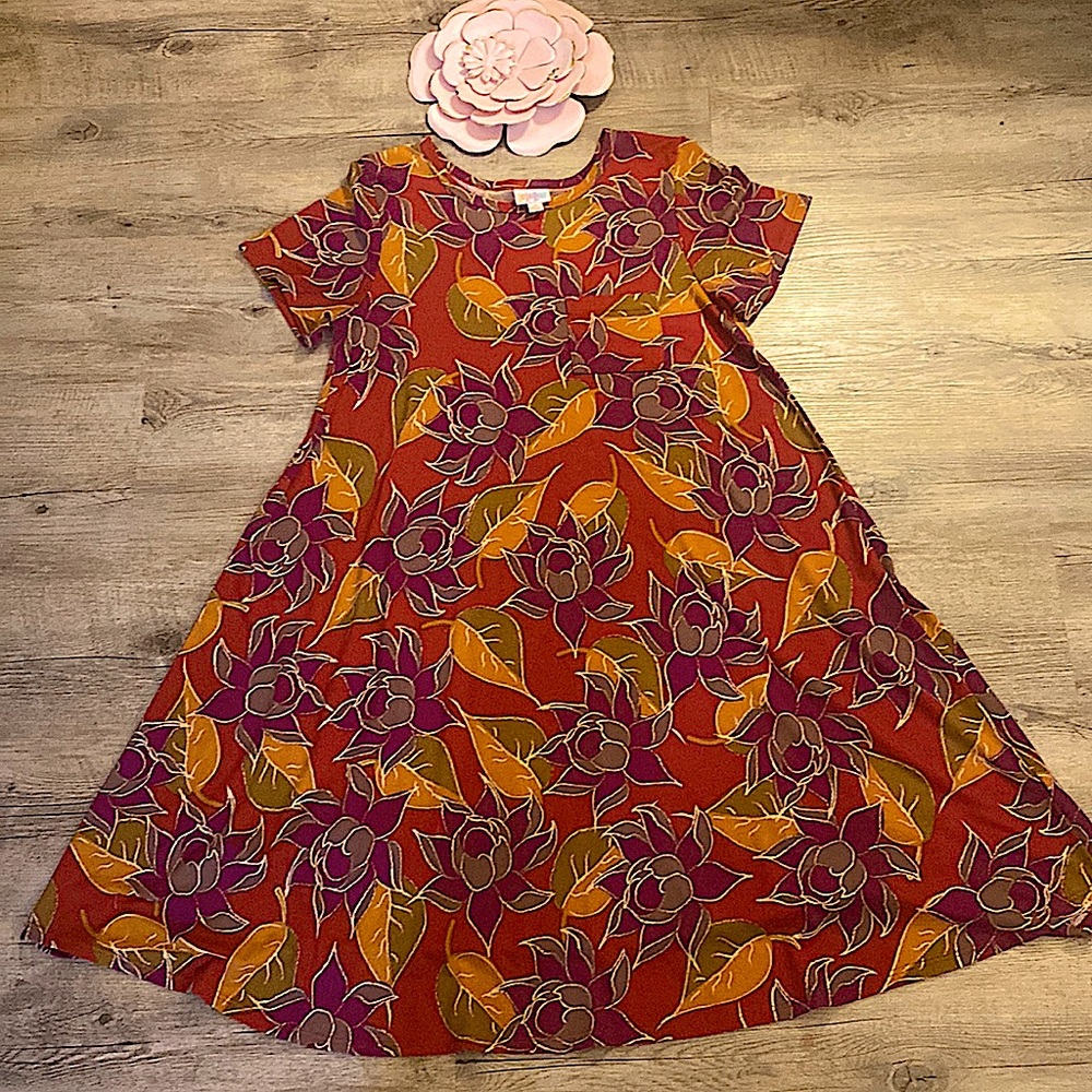 NWT no tag Lularoe Carly Dress XS